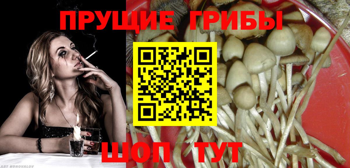 Псилоцибиновые грибы ЛСД Вышний Волочёк